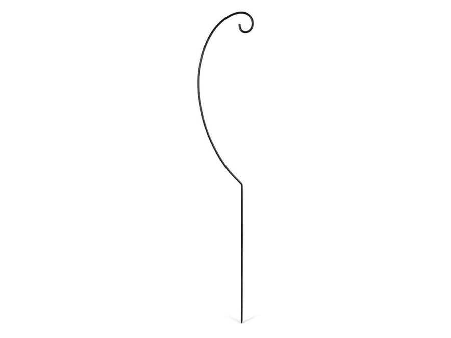 70939.JPG